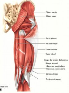 De isquiotibiales tendinitis